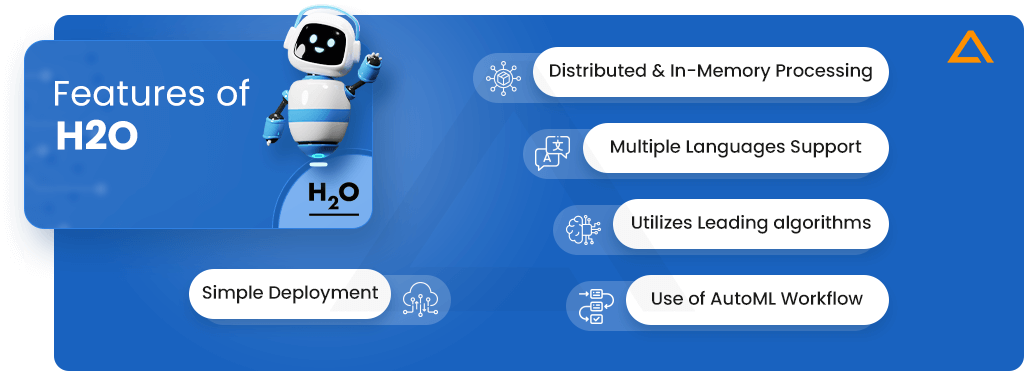 Features of H20